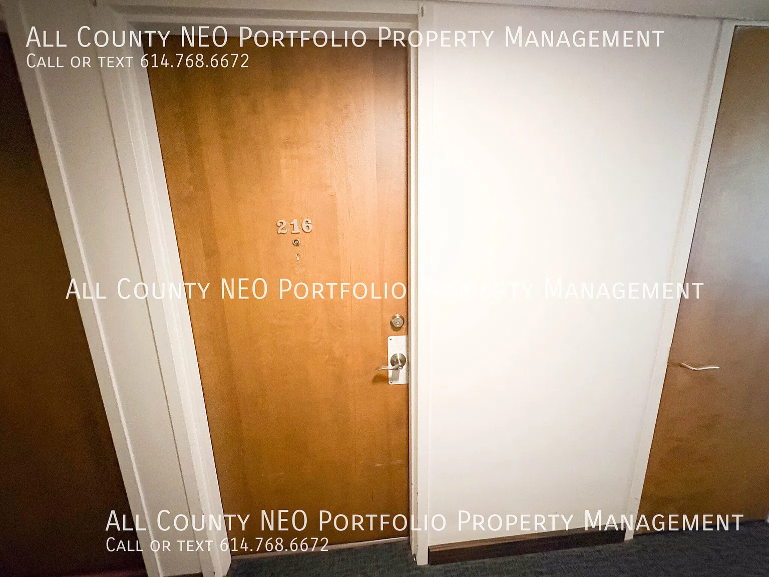 Move-In Ready 1-Bedroom Condo with Pool & Fitness Center! — Photo 1