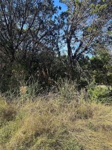 5105 Stoneridge Dr, Granbury, TX, 76048