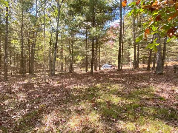 10 Ridgewood Ct, Lackawaxen, PA 18435