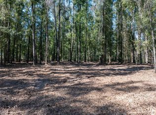 1.03 NE Candy Ln, Mayo, FL 32066