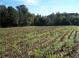 3007 Downing St SW, Wilson, NC 27893