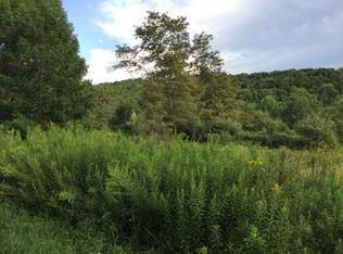 384 Foster Rd, Vestal, NY 13850