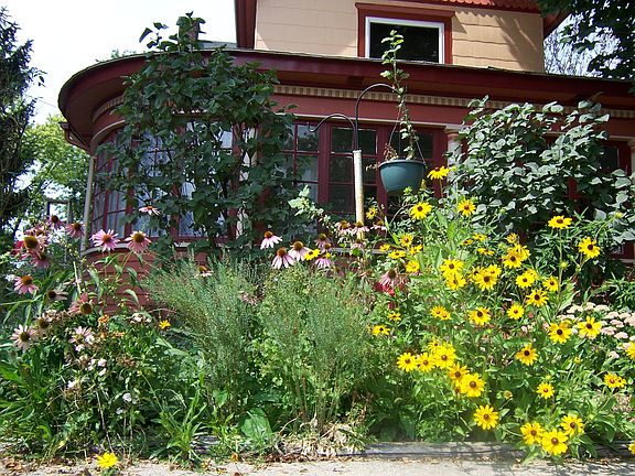 Many Perennials Planted