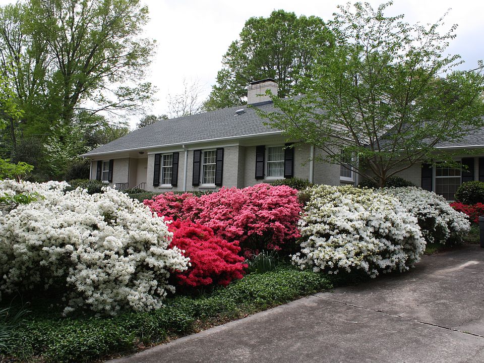 2nd image of 1105 Montpelier Dr