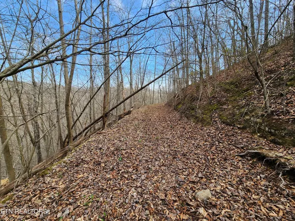 Alpine Dr, Smithville, TN 37166