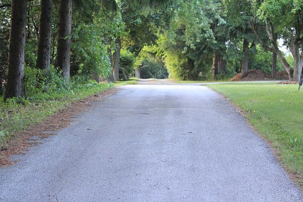 Tree-lined drive