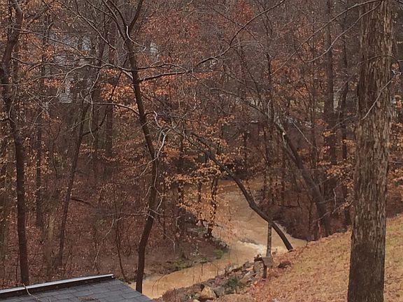 Backyard creek in Fall