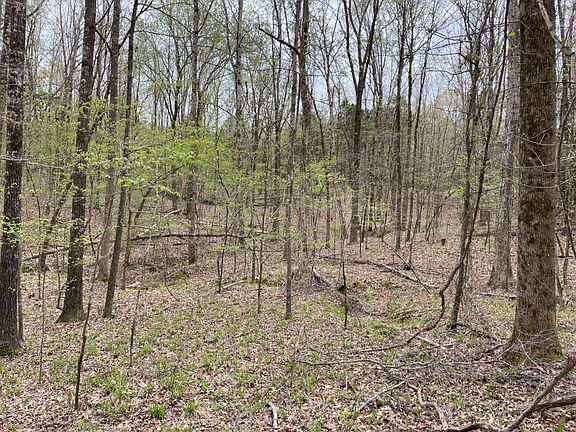 <p>Mature Hardwood Bottom</p>