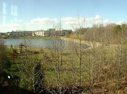 Pond View