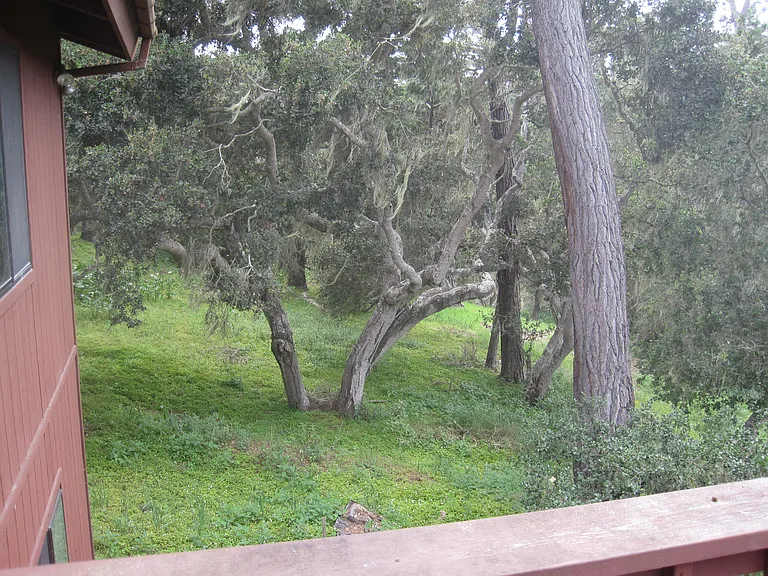 24656 Pescadero Rd — Photo 20