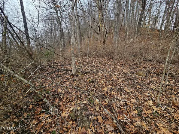 Ridge Ave, Appalachia, VA 24216