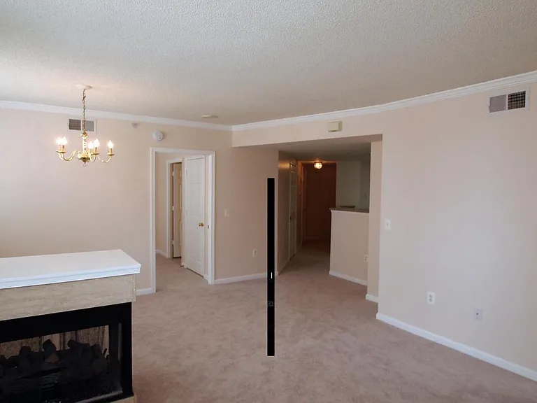 3830 9th St N #703W — Photo 7