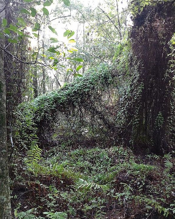 2nd image of 2965 W Hendricks Rd