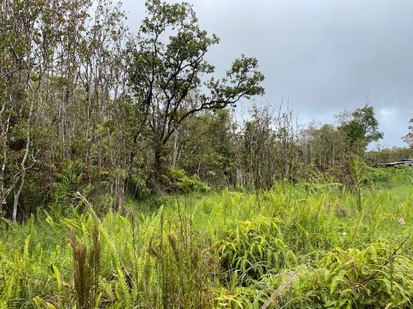 Road 6 Lot 307, Mountain View, HI 96771