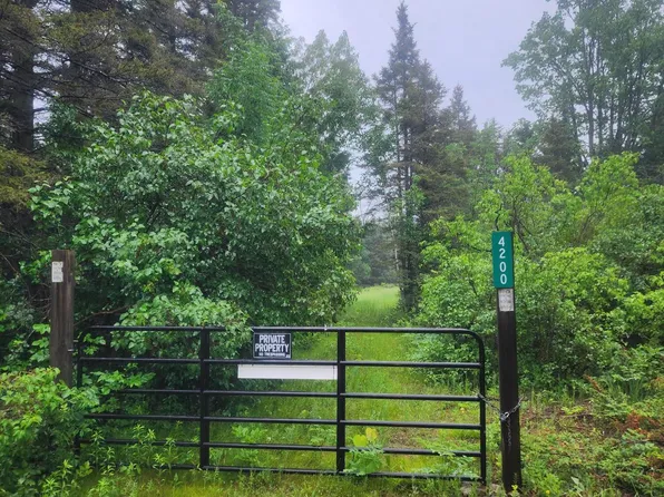 4200 Bloom Rd, Alpena, MI 49707