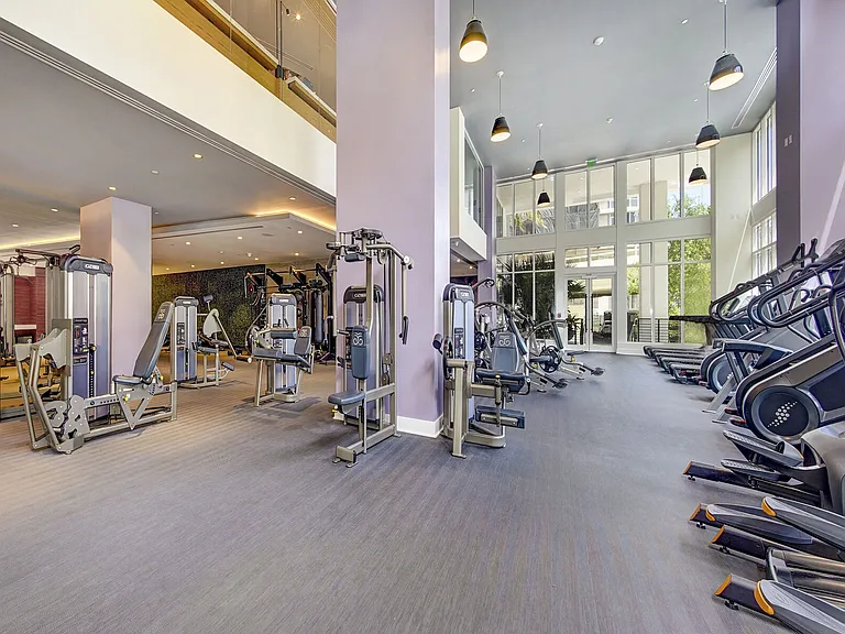 ALLUVION LAS OLAS — Photo 27