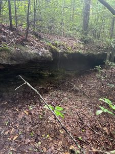 LOT 323 Flat Top View Ln, Wilder, TN, 38589