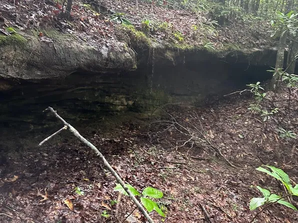 LOT 323 Flat Top View Ln, Wilder, TN 38589