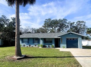 1920 Travelers Palm Dr, Edgewater, FL 32141