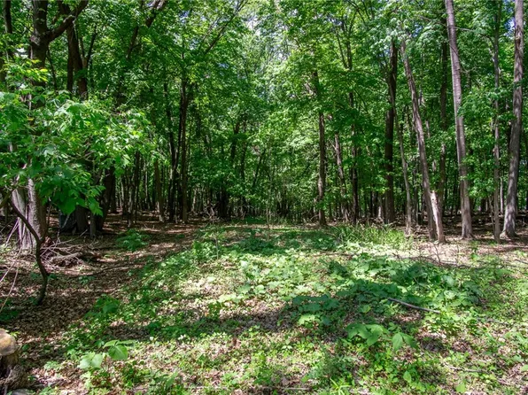 7.53 Acres 483rd Avenue, Menomonie, WI 54751