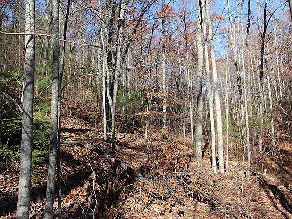 4th image of LOT 29 E Cool Water Ln