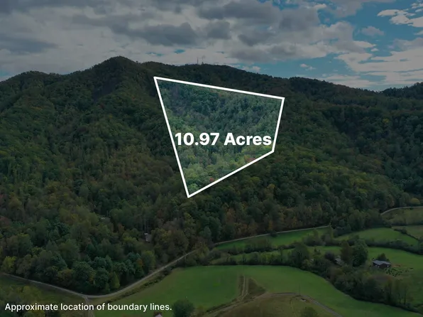 Davis Creek Ln, Lovingston, VA 22949