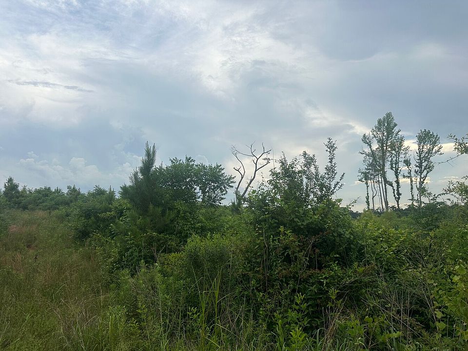 2nd image of 0 Highway 43 Tract S #C