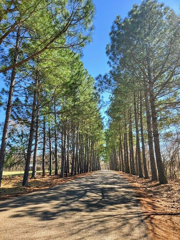 140 & 141 Shenandoah Dr, Streetman, TX 75859 Zillow