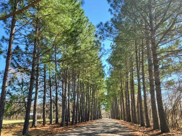 140 & 141 Shenandoah Dr, Streetman, TX 75859