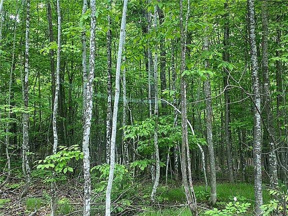 5th image of 13356 Deer Lake Road