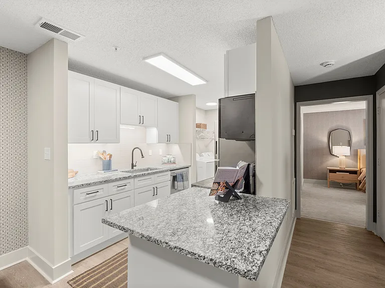 The Pointe at Stockbridge — Photo 10