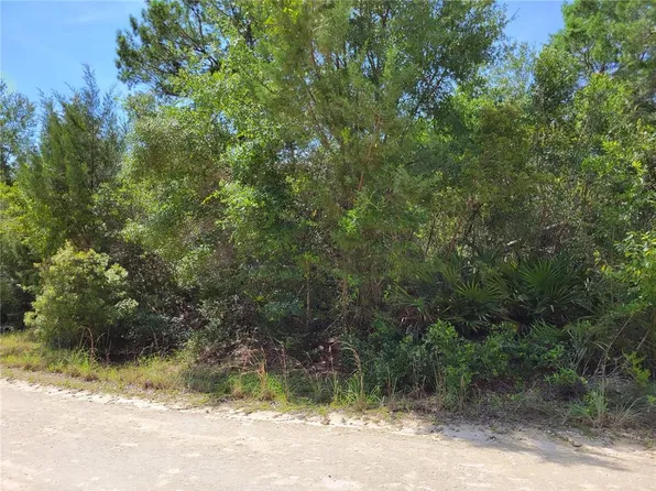 NE 242nd Ave Lot 11, Fort Mc Coy, FL 32134