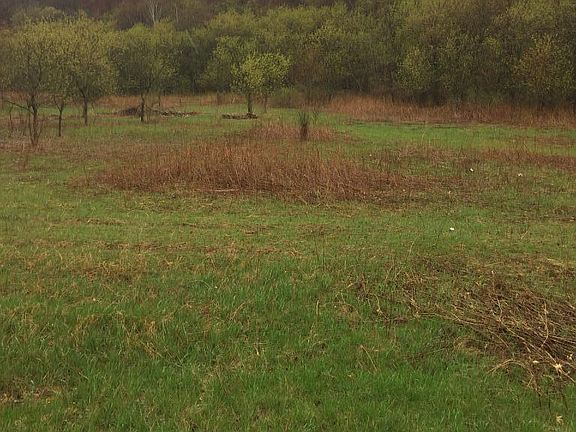 3rd image of Xxx 50th Avenue Alden Twp