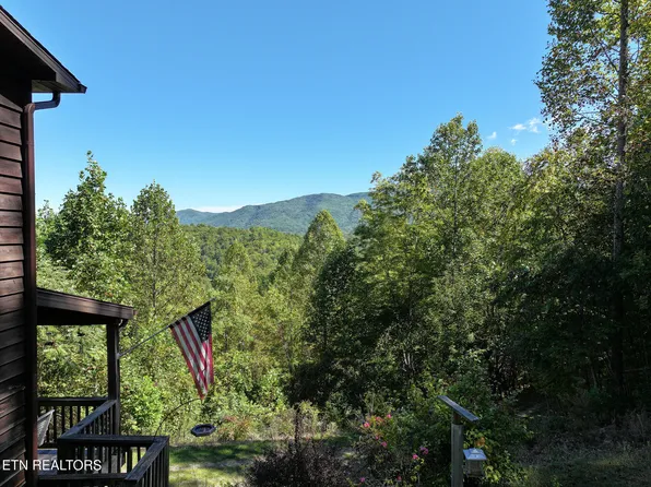 199 Pear Tree Way, Del Rio, TN 37727