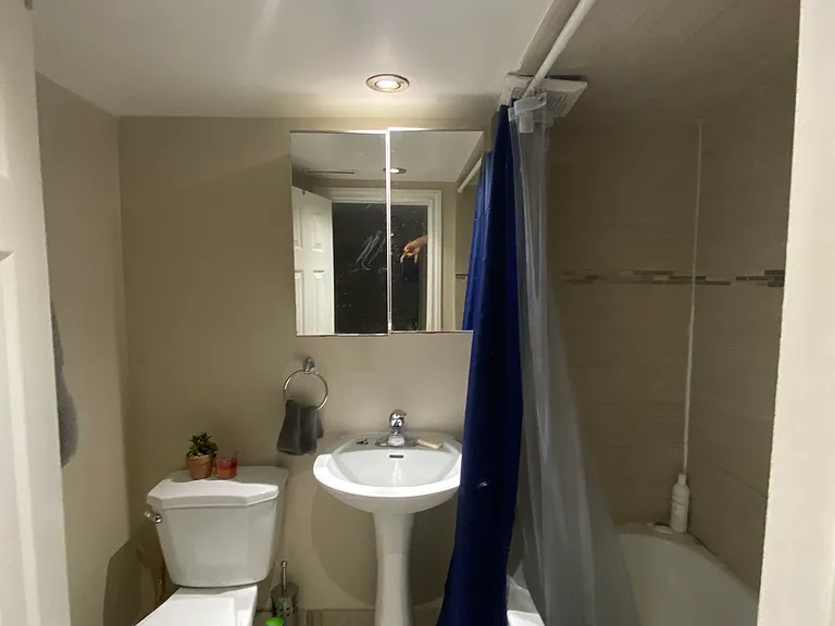 163 Campbell Ave #BASEMENT — Photo 16