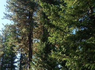 906 Flynn Ln, McCall, ID 83638