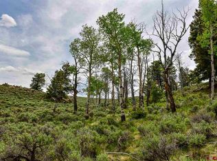44063 Quartz Hill Road, gunnison, CO 81230