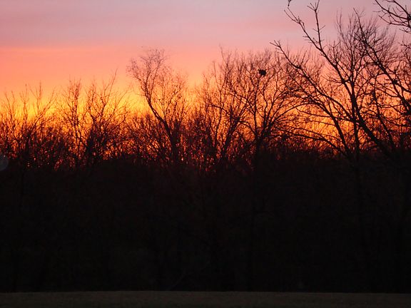 Dine in the glow of sunset