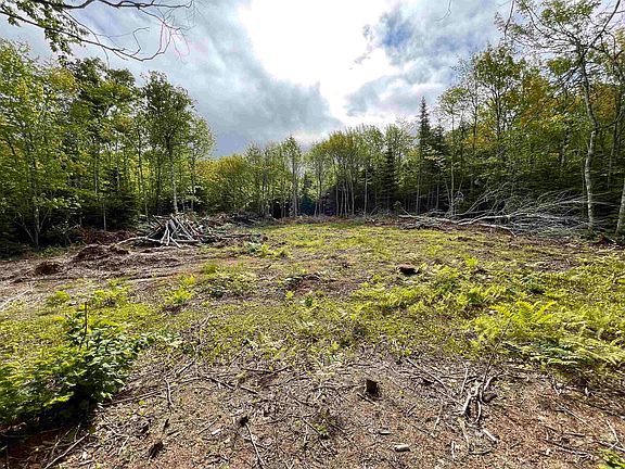 3rd image of 0 Mapleridge Ests