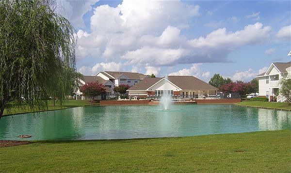 Pond View