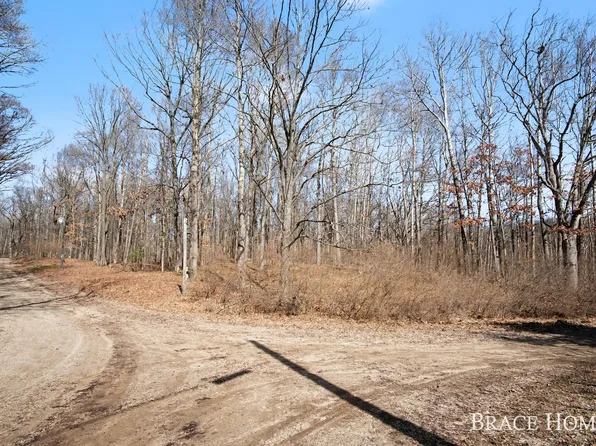 8426 Manitoba Ln, Stanwood, MI 49346