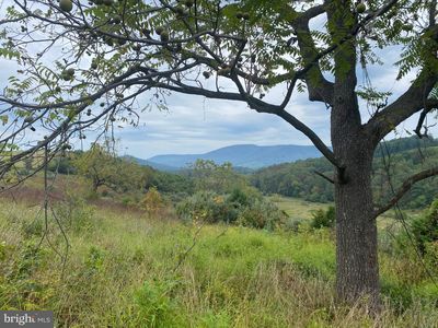 Gooney Manor Loop, Bentonville, VA, 22610