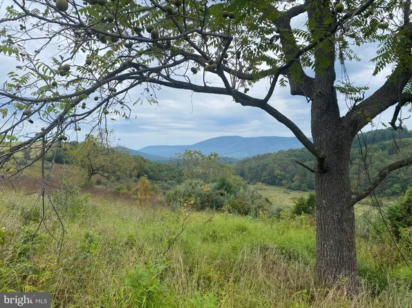 Gooney Manor Loop, Bentonville, VA 22610