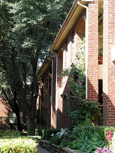 Lush trees keep air cool during hot summer months.
