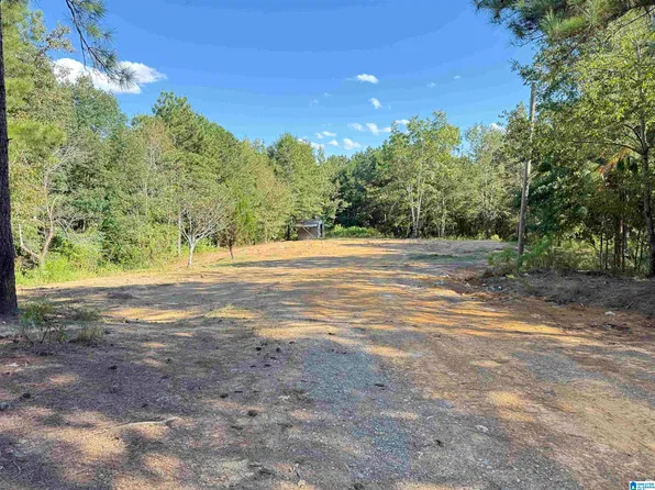 896 Rocky Ridge Rd Tract 23, Odenville, AL 35120