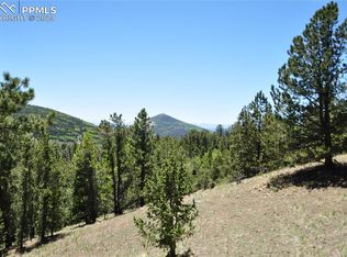 1429 Fairview Dr, Cripple Creek, CO 80813