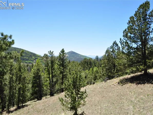 1429 Fairview Dr, Cripple Creek, CO 80813