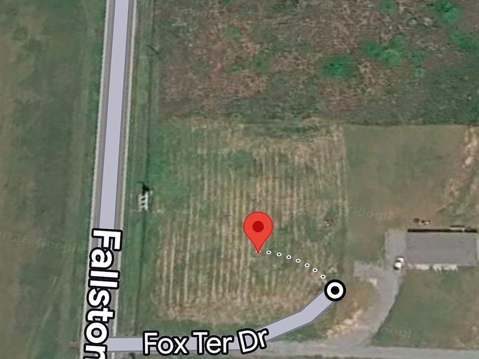 2nd image of 101 Fox Ter