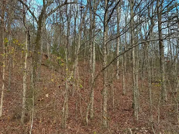 0 Grasshopper Rd, Birchwood, TN 37308