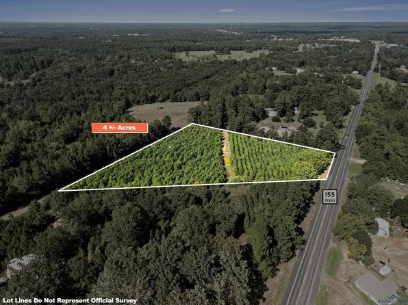 Highway 155 S, Gilmer, TX 75644